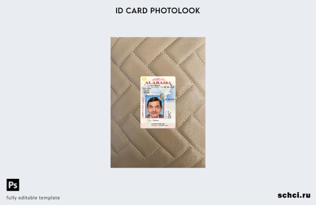 цифровая загрузка США Алабама под фотоизображением переднего шаблона удостоверен